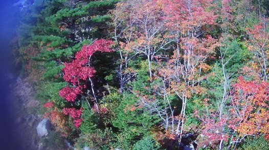 Canada's Autumn taken by H501S