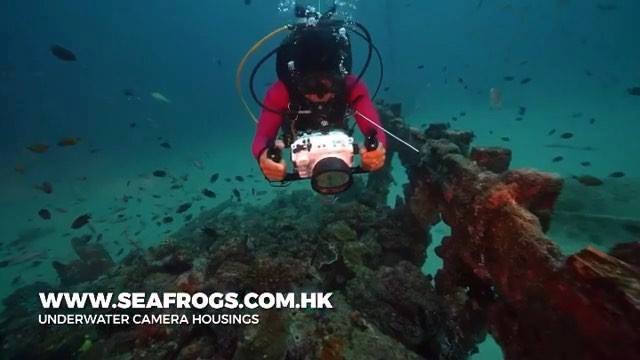 Sony A6300+E10-18mm lens inside SeaFrogs.com.hk A6xxx series Salted Line Housing.