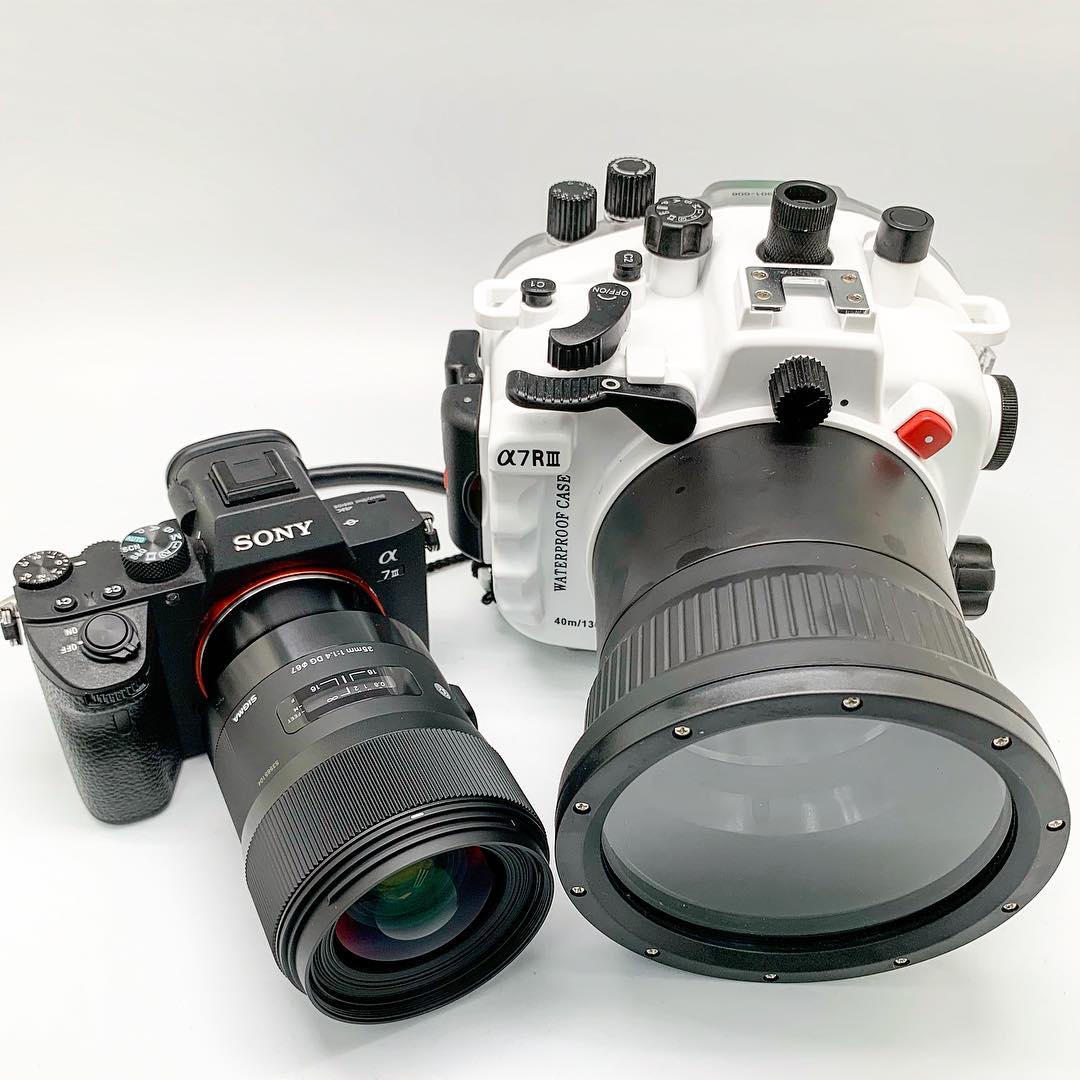 Sigma 35mm f1.4 e-mount with Sony A7 III/ A7R III perfectly works inside SeaFrogs.com.hk underwater camera housing for A7 III/ A7R III unit with flat port for 90mm lens and the best part about it is - manual focus control availability!  Available at www.seafrogs.com.hk and www.meikon.com.hk