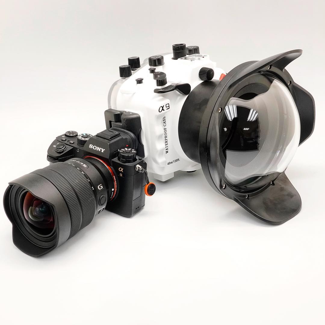 We have updated our for Sony A9 unit, so now it has 2 stage pistol grip and comes in white color! Check this beast out at www.seafrogs.com.hk and www.meikon.com.hk