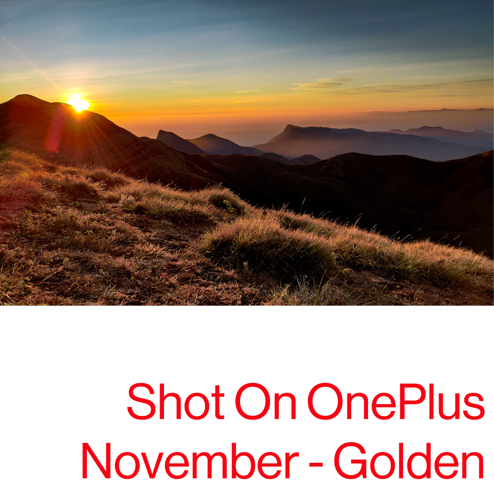 Fall in love with our latest #ShotonOnePlus contest 🍂