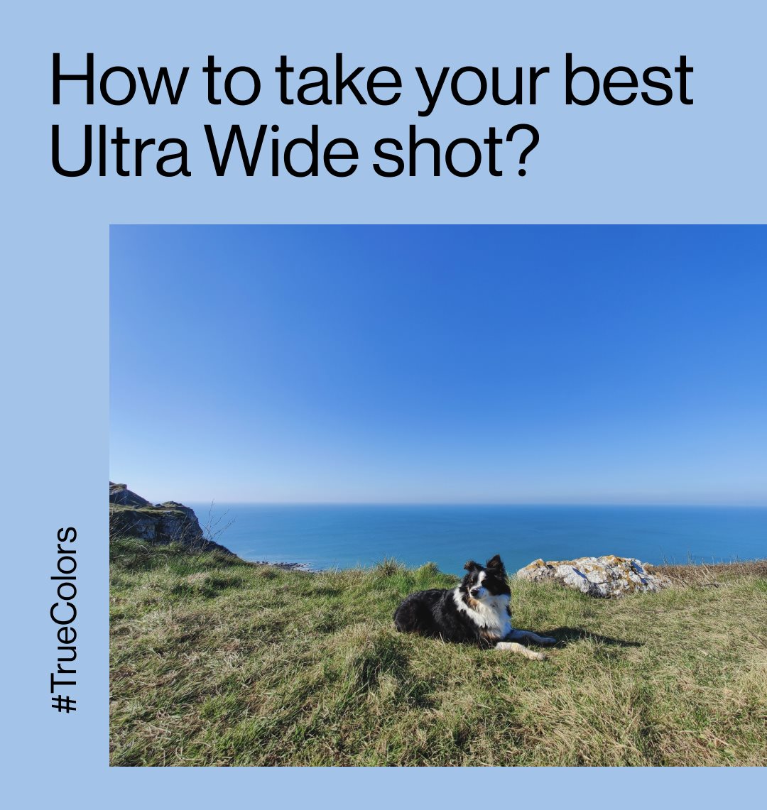 You can take so much more with the Ultra Wide Angle camera on the #OnePlus9Series, but how to take the best picture?  Hasselblad Photographer Julius Hirtzberger gives his tips so you can take #YourBestShot. Share your #TrueColors gives for the chance to WIN big!  ...