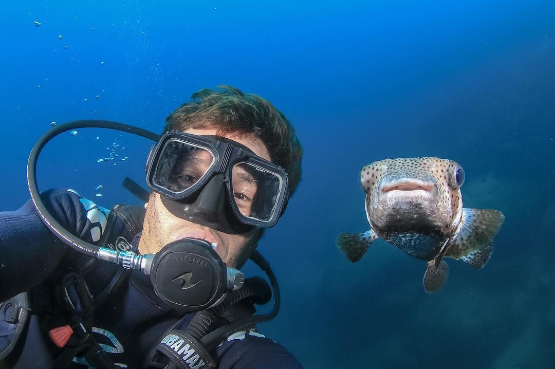 Selfie Tuesday! 😂 What marine animal have you taken a selfie with underwater? @PADI