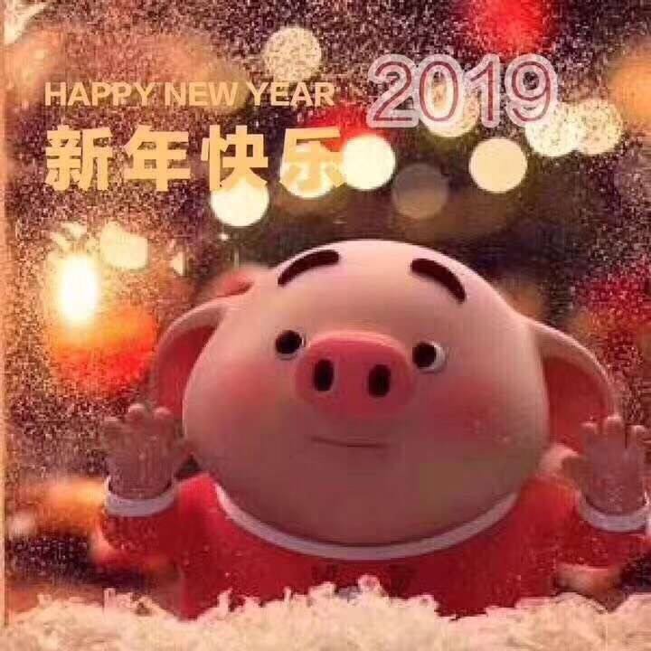 Happy Chinese New Year ~