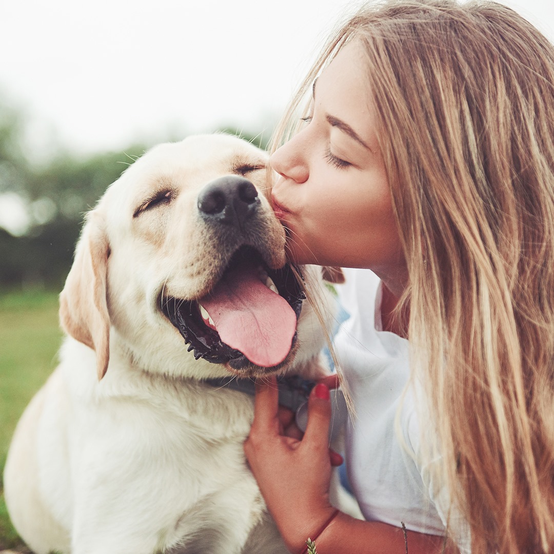 Feliz día a ese gran compañero que te acepta y te quiere tal cual eres.  Celebra el amor único que tienes con tu mascota y