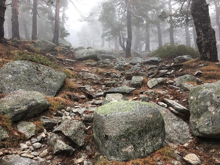 Nos encanta la niebla 😍 | Feliz Sábado ❗❗