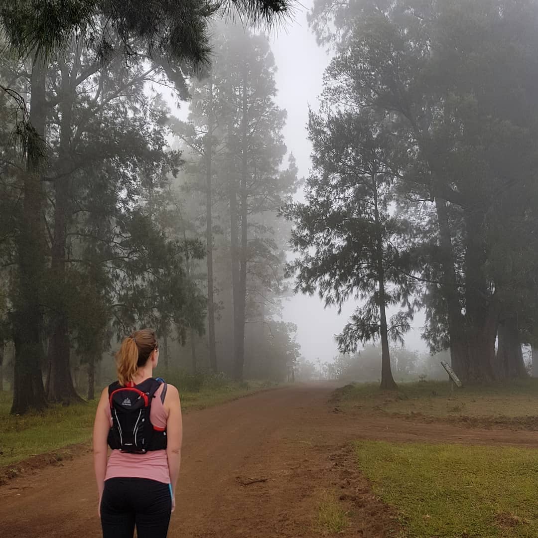 Nos adentramos en la niebla? 😍 Buen fin de semana ‼️ | 📷 @barkhuizenandre 