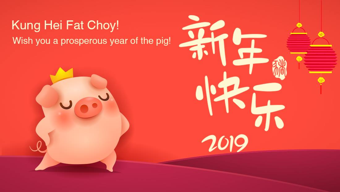 2019 is a Year of the Pig, according to the Chinese horoscope calendar. Pig is a lucky animal representing good fortune，wealth and worry-free.