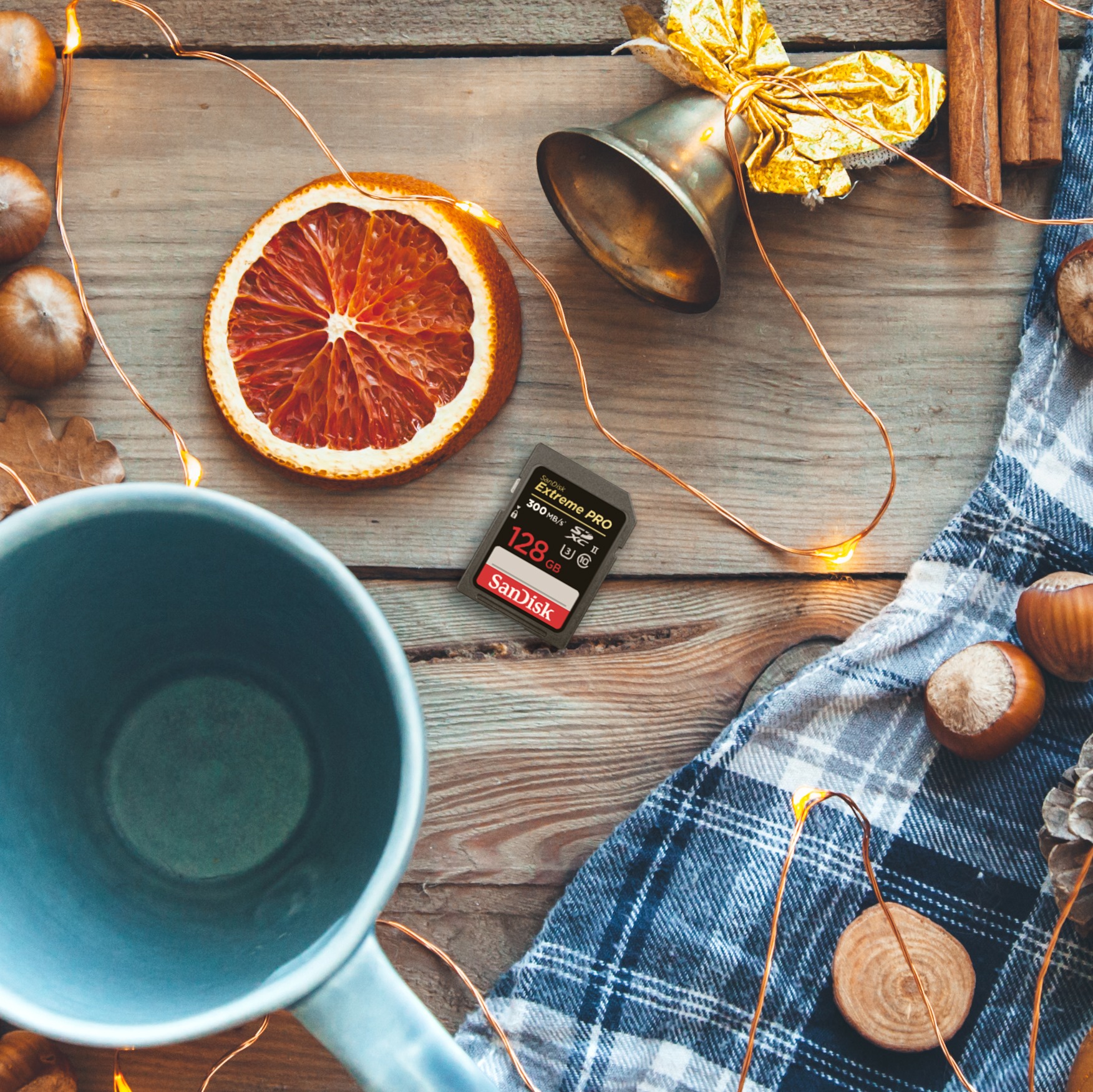 Head into the colorful season with reliable SanDisk memory cards to serve all of your photography needs. 🍂 