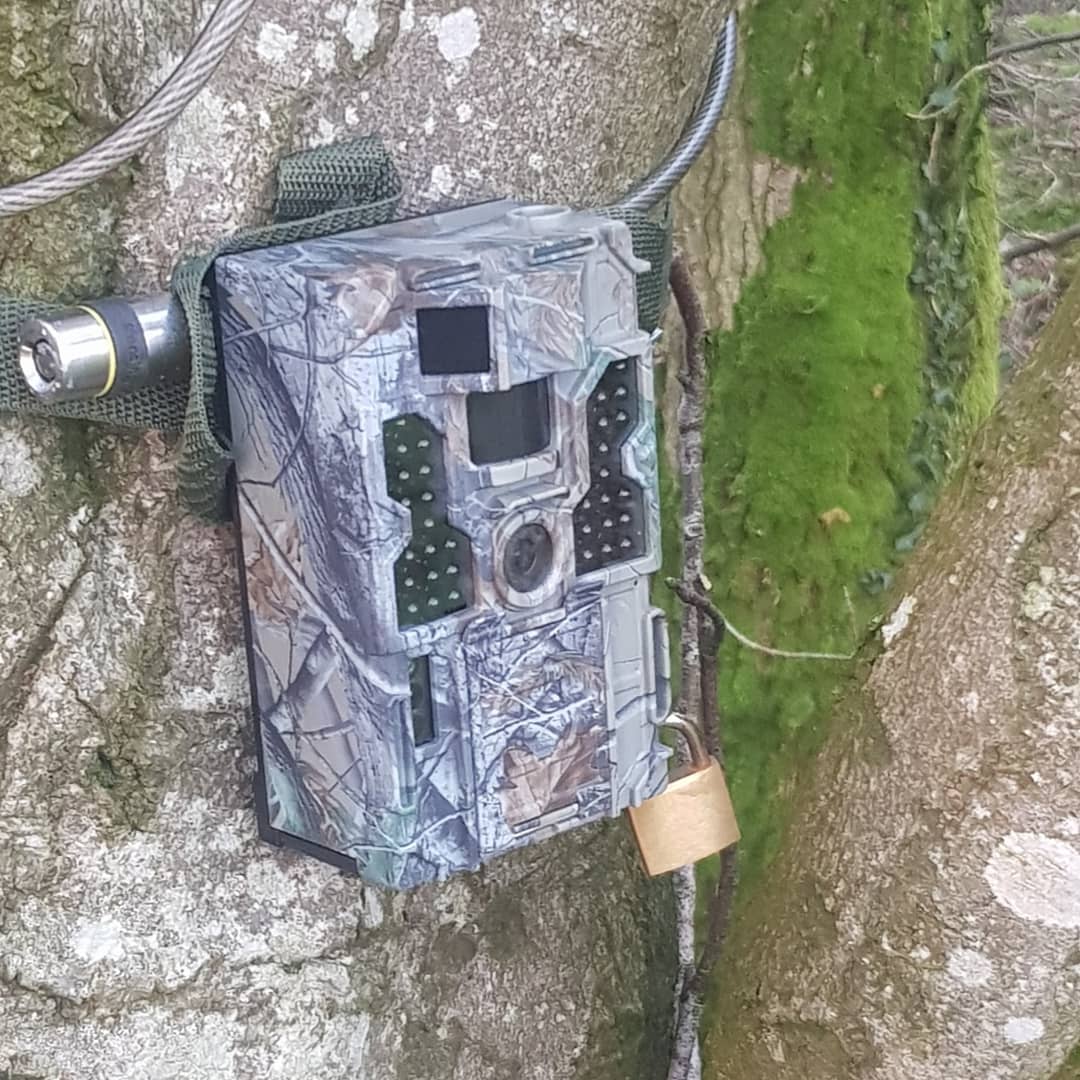 Where will you set up your trail camera?