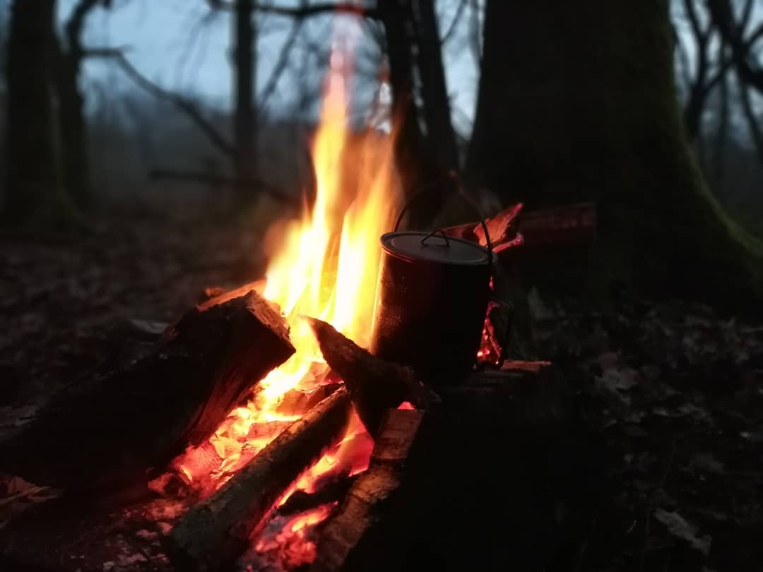 Night, campfire, forest.