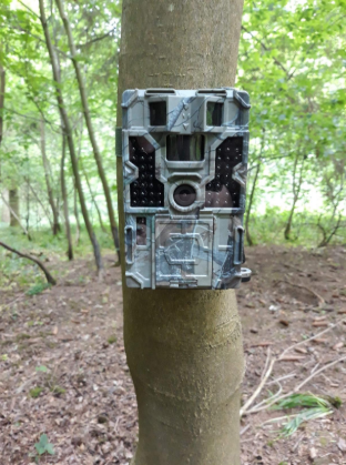 #Meterk 20m Range Trail Camera 1080P 30fps Hunting Camera is perfect for home security order monitoring.