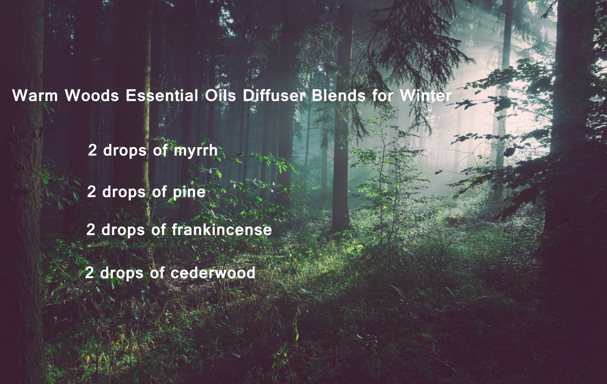 In winter, we can also enjoy nature's fresh air at home easily with essential oils. You can start with blending some Evergreen and other tree essential oils for warm woodsy scents.