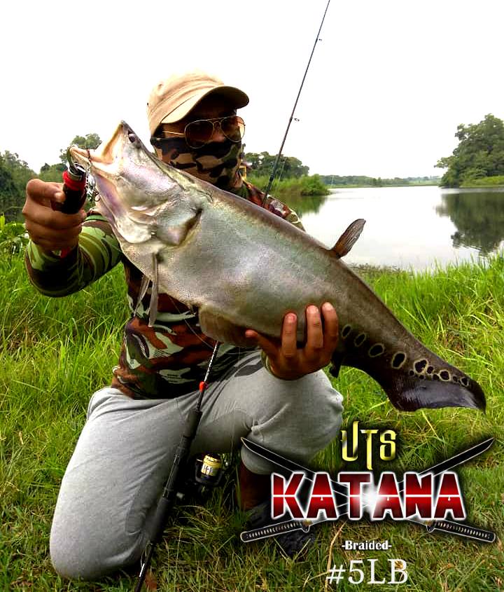 Belida Landed On Katana 5LB, Good Job Bro (y)