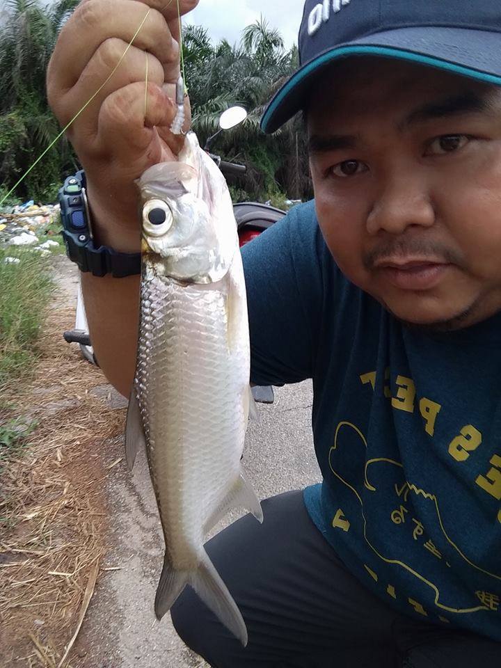 Abang x pernah selfie tau...tapi kerana ohhh bulan abg jadi semangat nk selfie 😂😂😂...  SoftBait--Trulinoya Elegant CL 60mm/0.4G