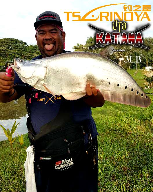 Belida On Action By Komander Lemon Tea II With Trulinoya Dexterity C632UL Rod/Trulinoya Whirlwind Reel Match With Katana 3LB Braid!!  Well Done (y)  Rod: Truniloya Dexterity 6'3 2-6lb