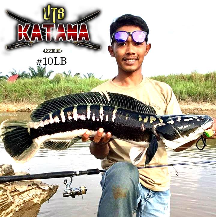 Cik Toman Landed On Katana 4Power 10LB, Tq Support Katana Braid!  Credit Photo By Hafiq Rahim #BEDOOH #MENOKO #SAMASUKACASTER #PICISANANGLER #HANYIRPEKOK #rapalaLURE...