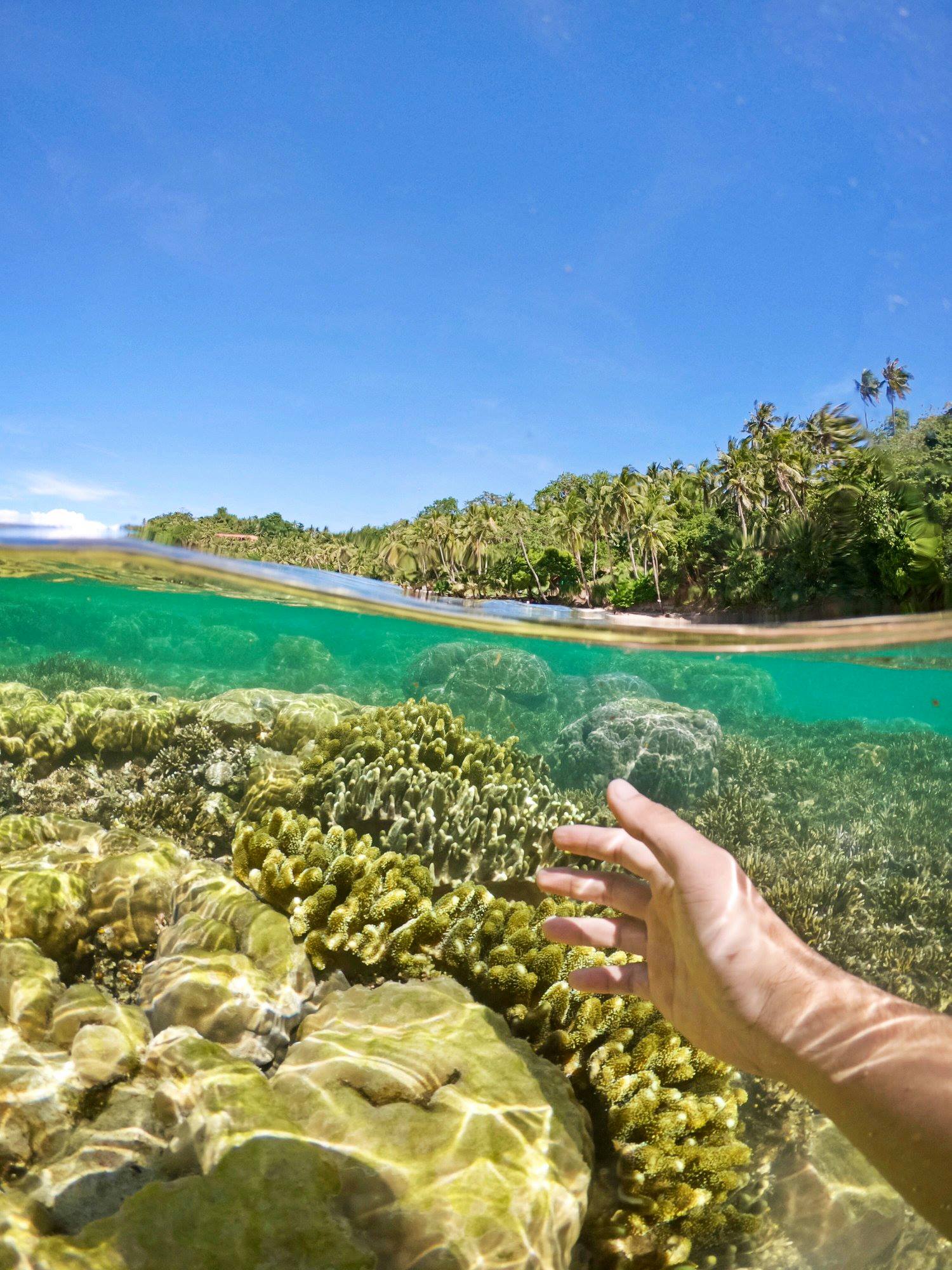 Beautiful above and below. At Guimaras Island using GPH7 Black and Telesin Dome. (c) Remus Castaños #telesinphilippines #telesinph #hero7 #goprohero #guimaras #teledventures