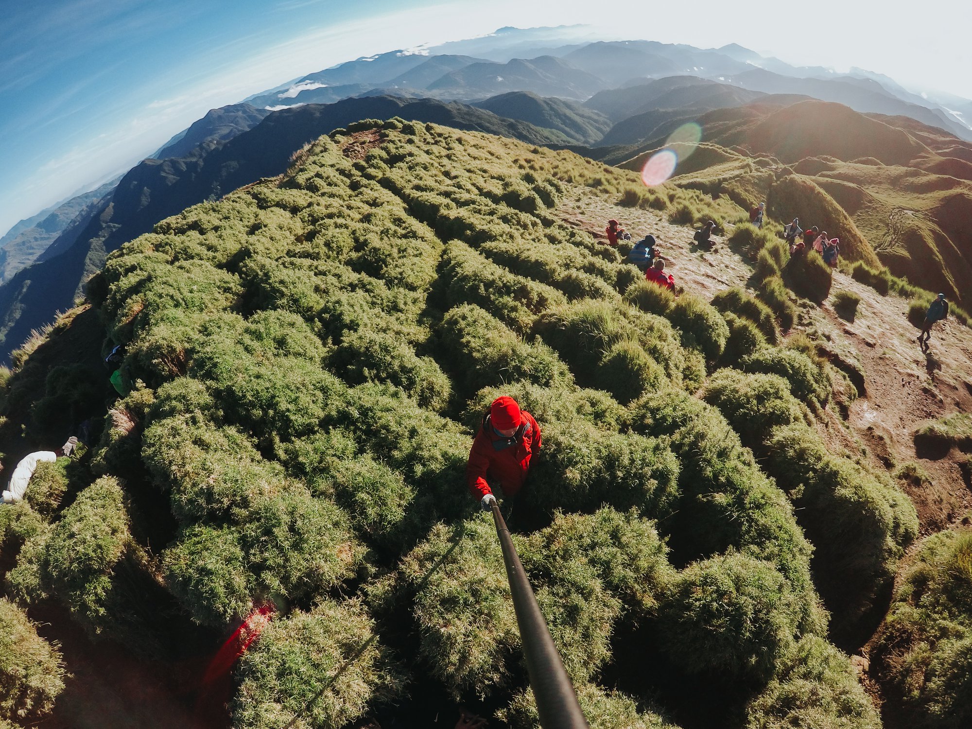 A Peek from the Peak! #telesin user JONELL travels at Mt Pulag using Telesin Extended Edition Monopod and GPH5 Submit your #teledventure moment shots at 