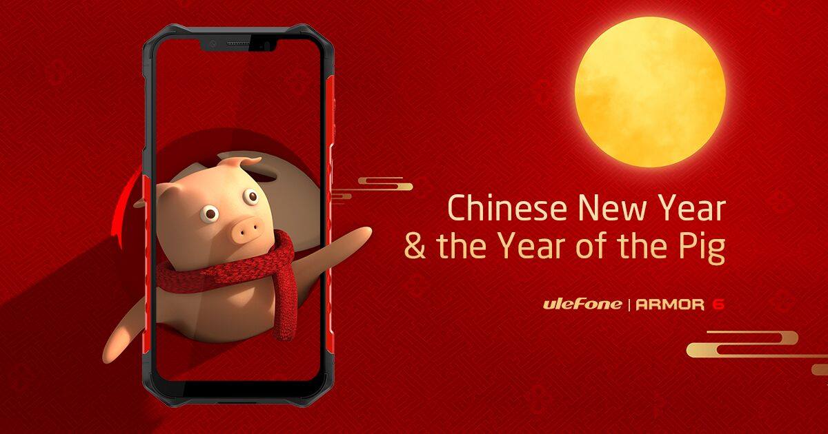 Happy New Year - Chinese Year of the Pig.