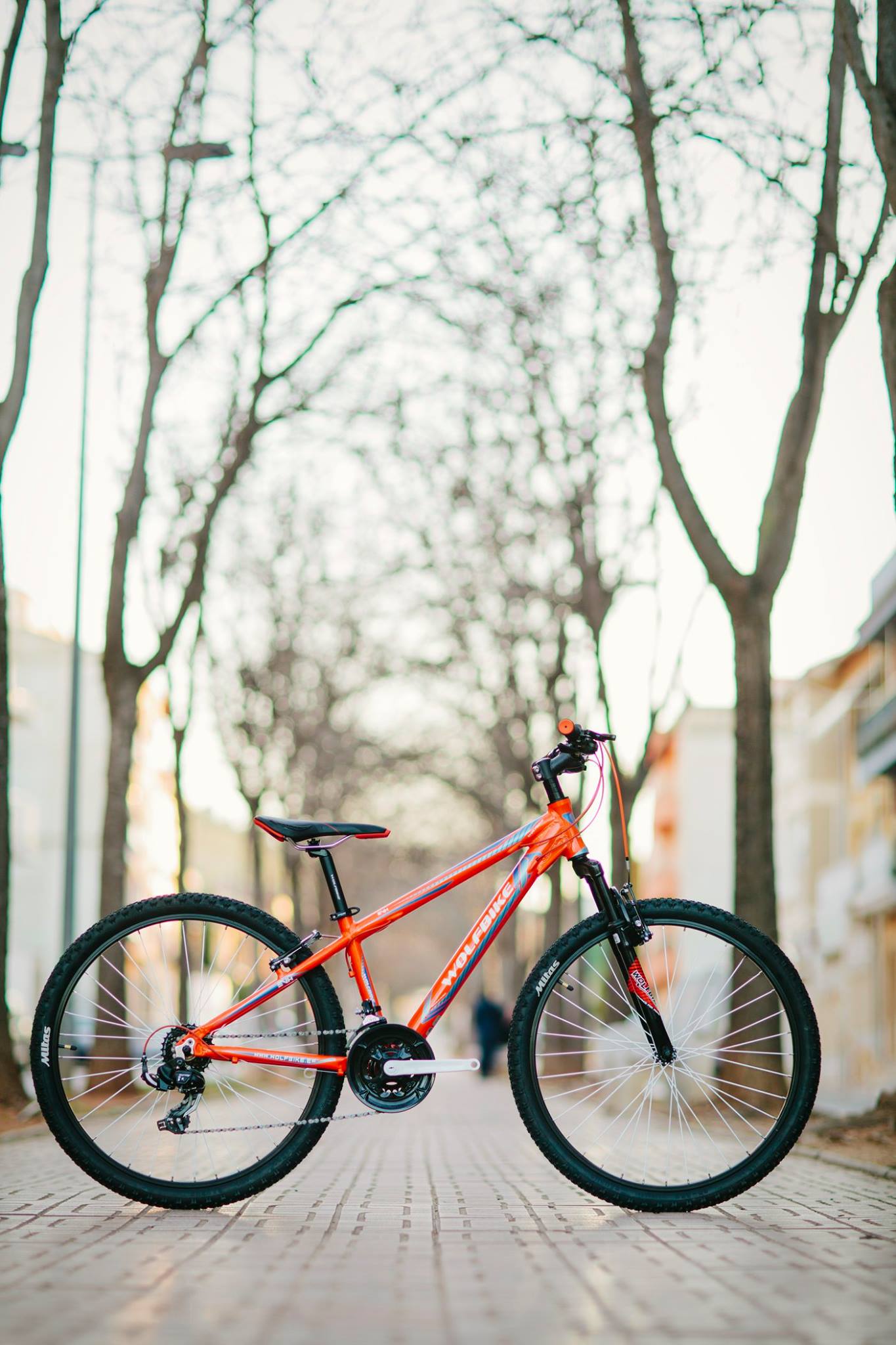 Llega el buen tiempo, aprovéchalo sobre tu nueva Wolfbike.  En línea de las nuevas tendencias, en Wolfbike te ofrecemos nuestras últimas novedades MTB. www.wolfbike.es... #wolfbike #mtb #evh #road #neverstop #mountainbike