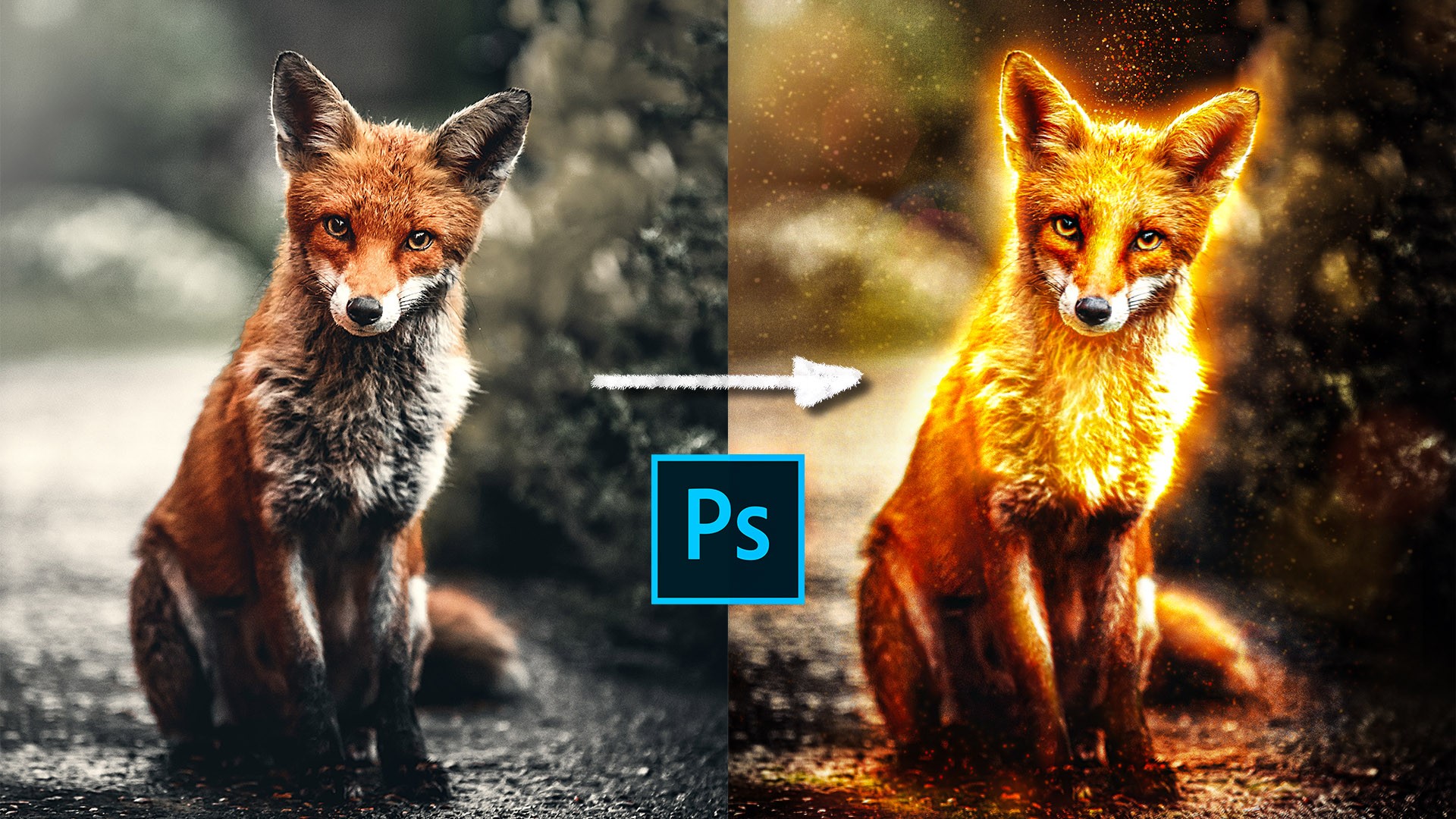 We are amazed by the golden glowy effect in Photoshop from @nemanjasekulicphotography, did you?