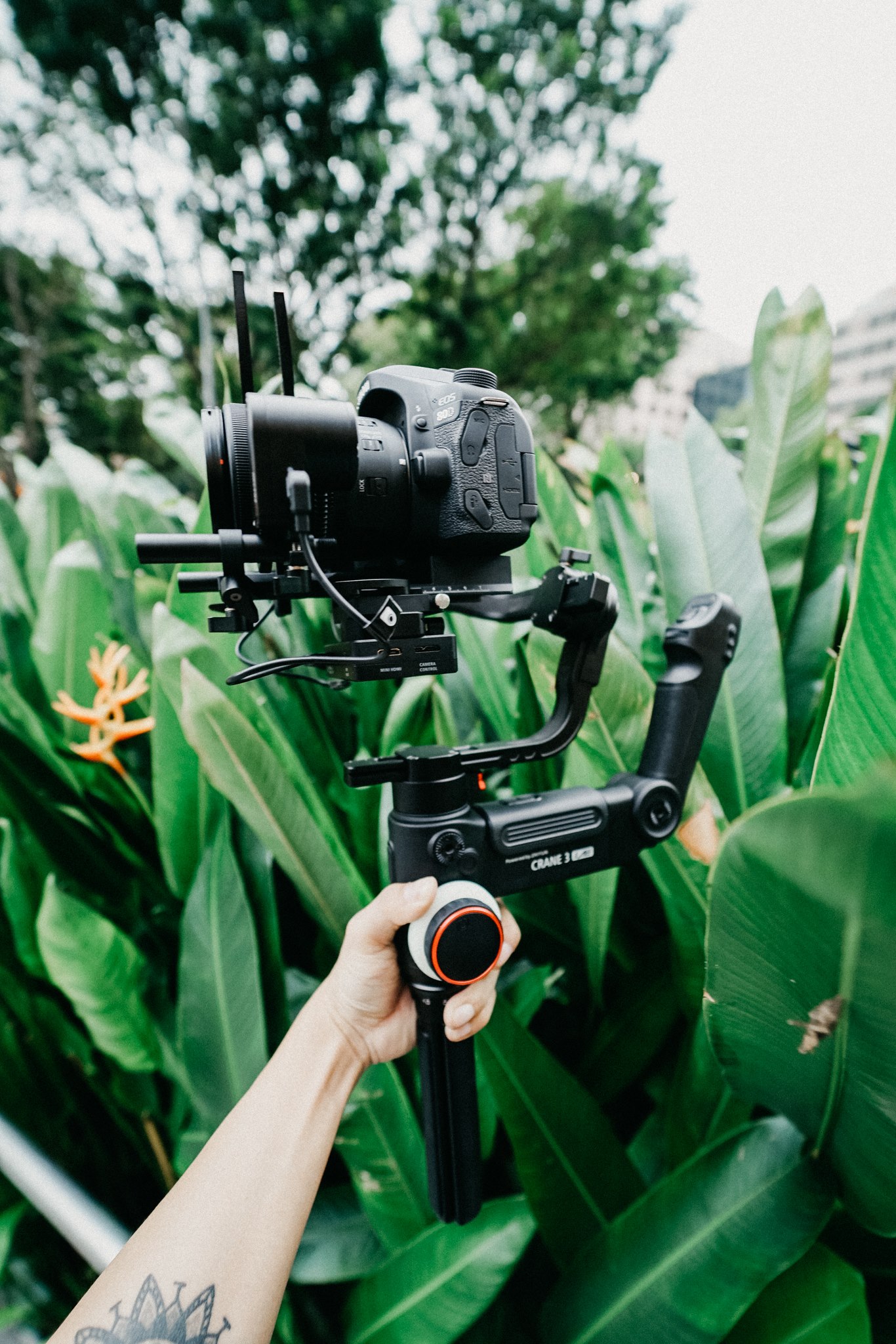 Get the gimbal on