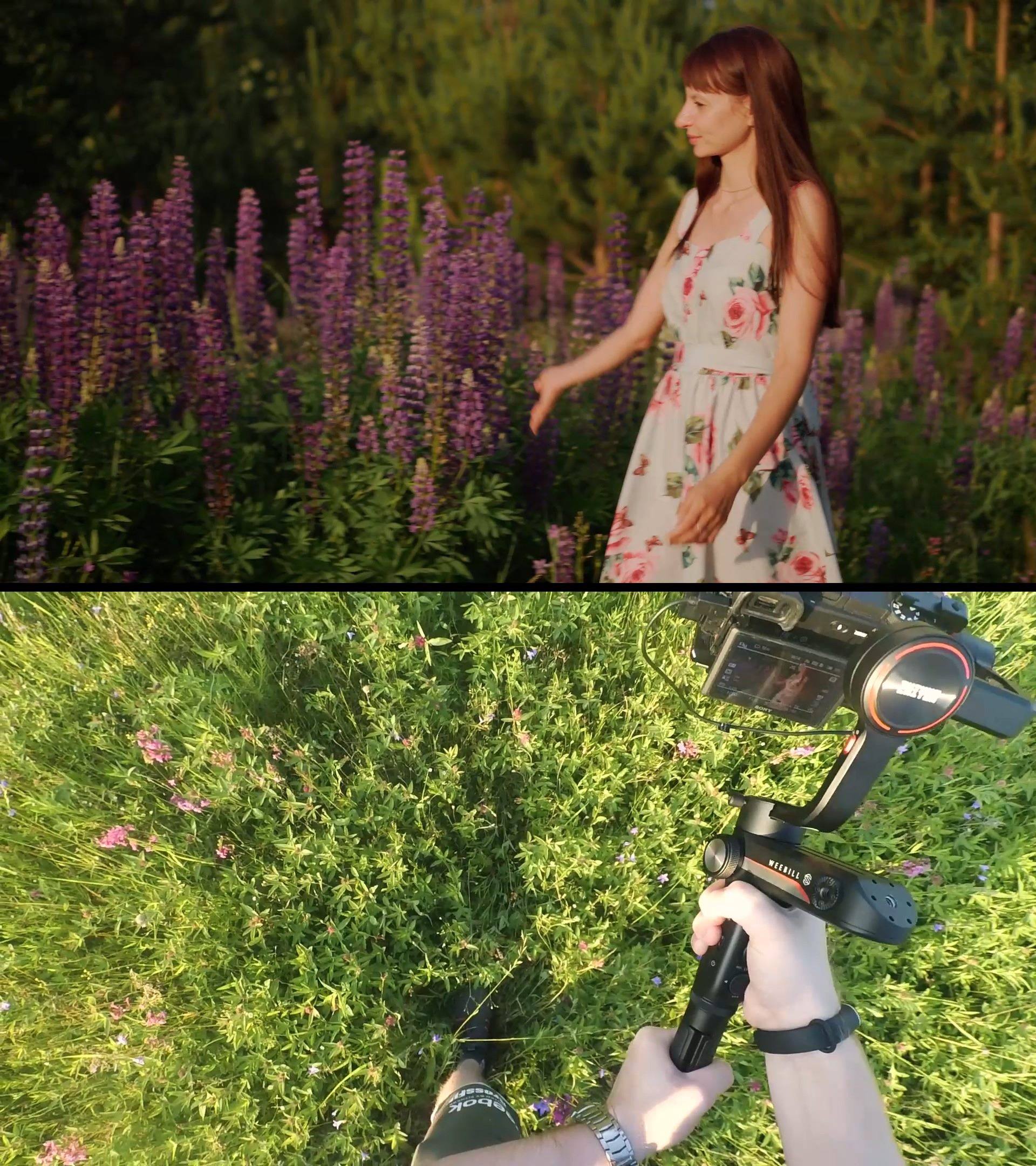 Behind the Scenes| A cinematic portrait video shot in purple flower fields. 🌸