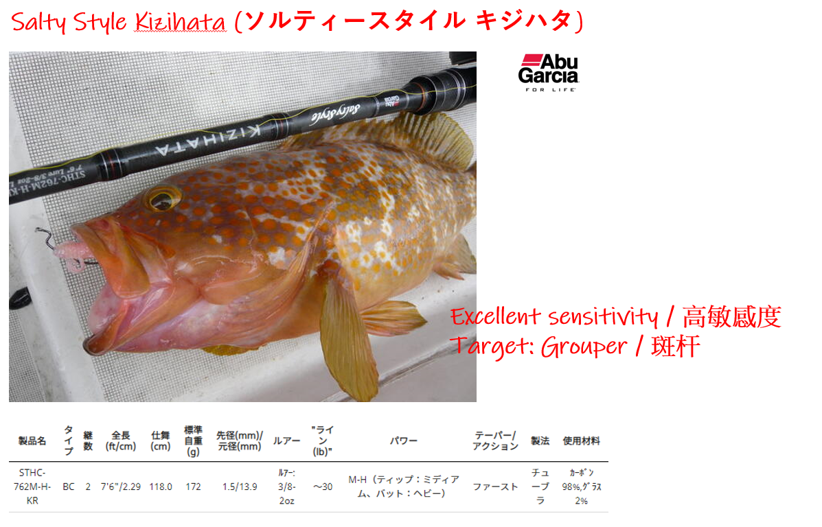 Abu Salty Style Kizihata Fishing Rod 