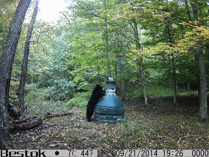 Did you find the lower left corner of the other trail camera?