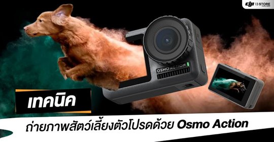 เทคนิคถ่ายภาพสัตว์เลี้ยงตัวโปรด ด้วย Osmo Action