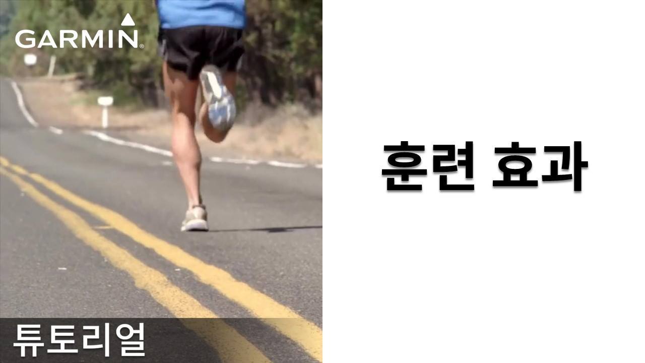 [튜토리얼] 훈련효과