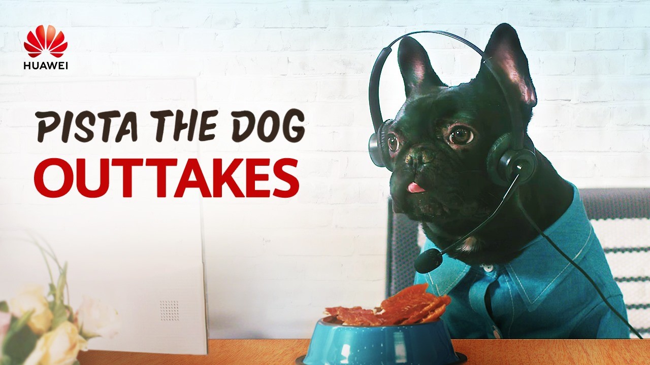 🎬 It’s a wrap! Time to fill you in on some fun insights into the star of #Huawei’s ‘A Dog at Work’ series. Watch and tell us what you think about Pista now! #DogoftheDay #DogsAtWork 🐶