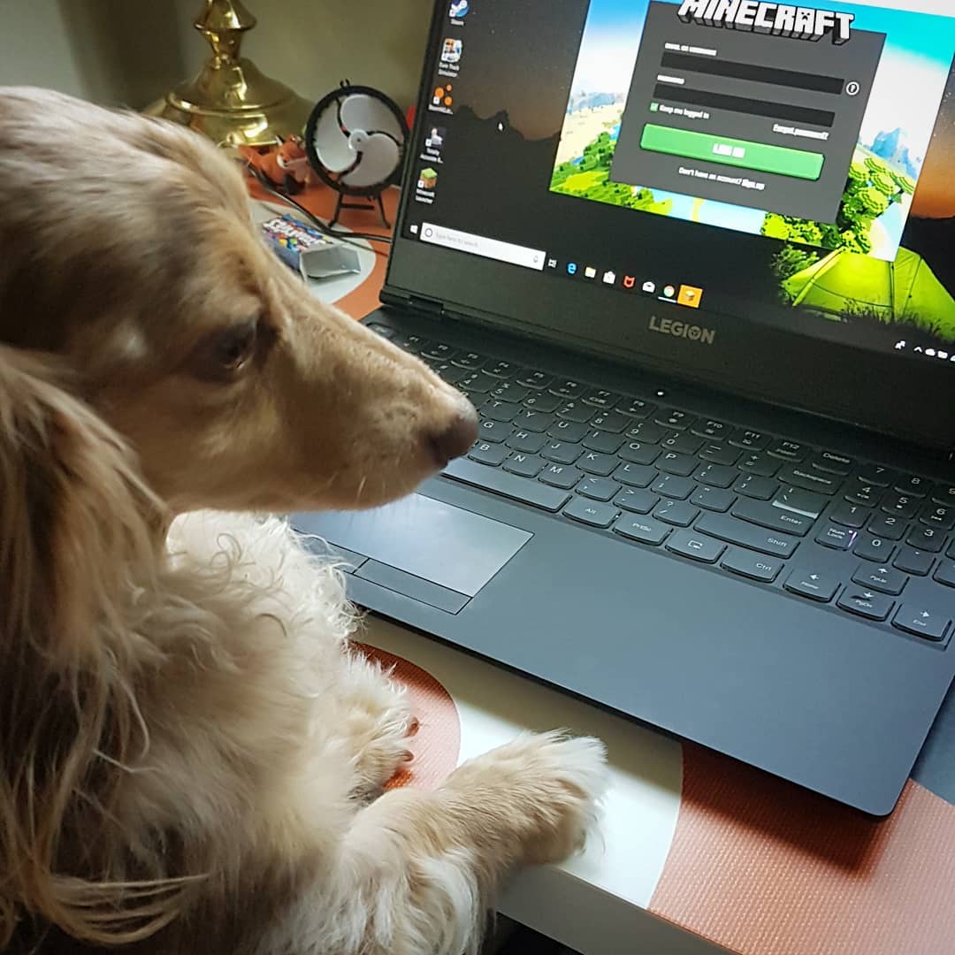 Poppy is finally getting into Minecraft!