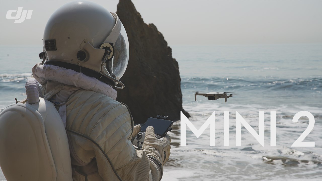 Meet DJI Mini 2. 