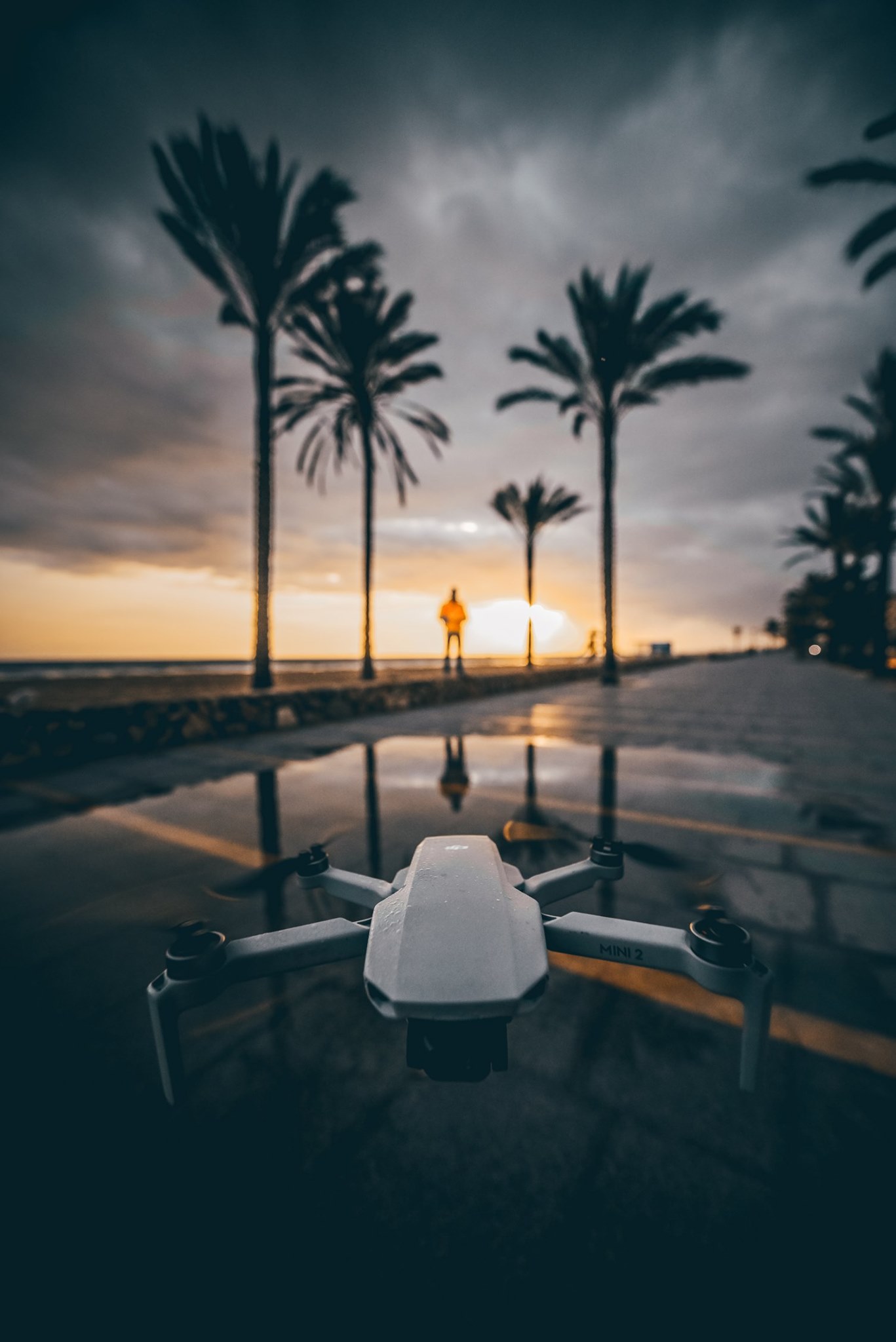 Get airborne this year with DJI Mini 2.