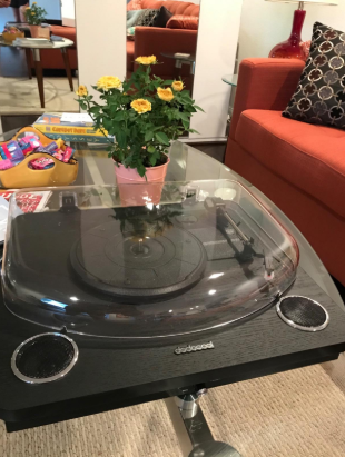 #Dodocool 3 Speed Bluetooth Vinyl Record Player is equipped with an SD card slot, USB disk slot, and wireless functions, this record player supports multiple audio sources. Meet your various needs.