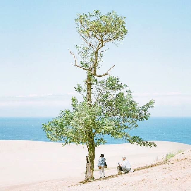 這一生路過的風景皆有你的身影🍀