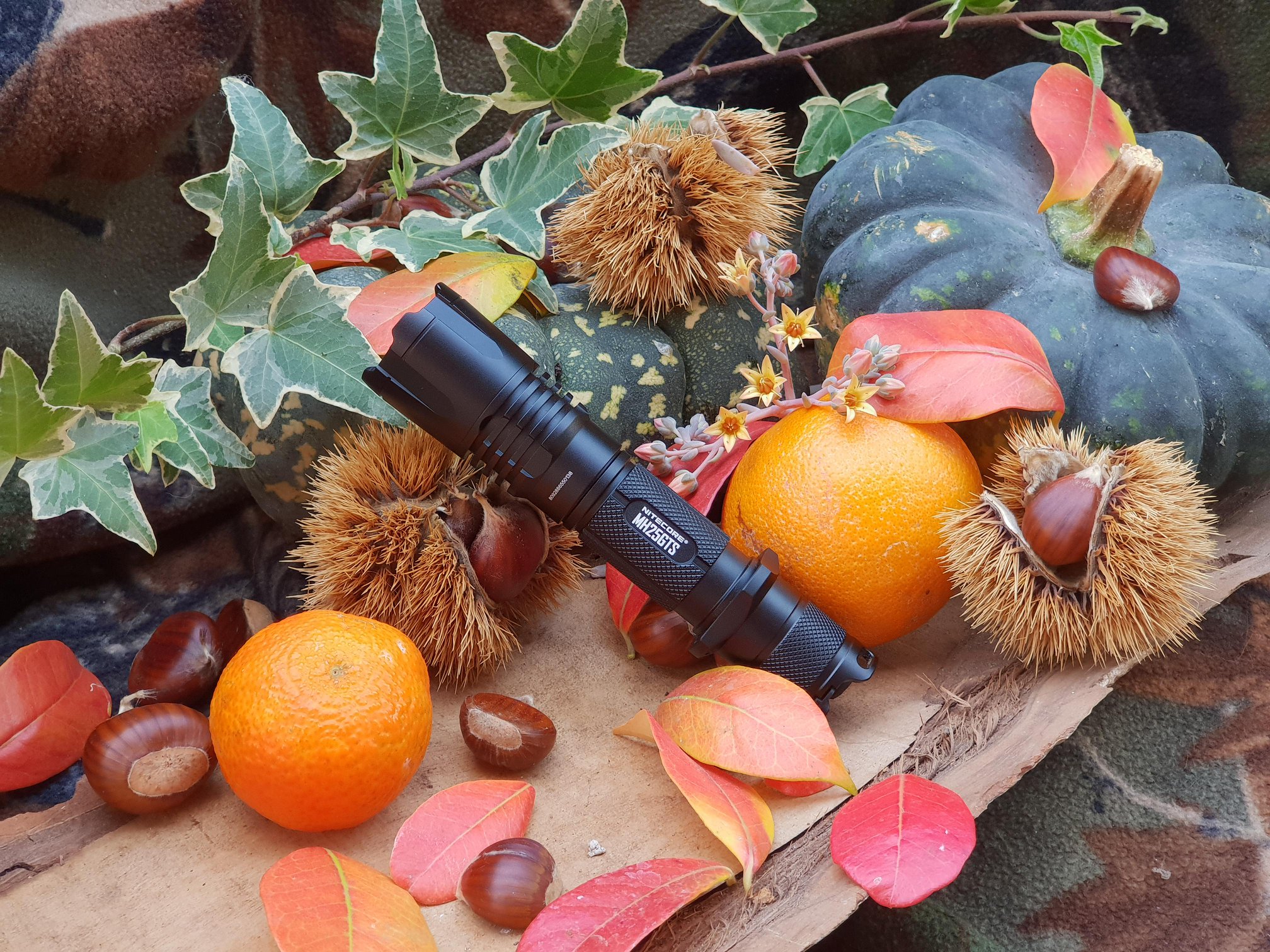 Take our flashlight with you, to go and explore the beauty of autumn season.🍊🍑🎃🍁