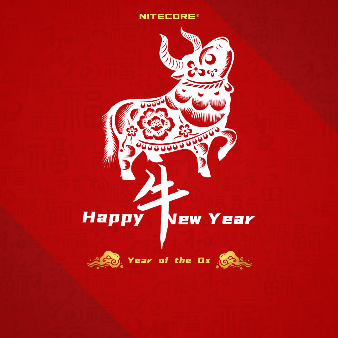 Happy Chinese New Year!🎉🎁