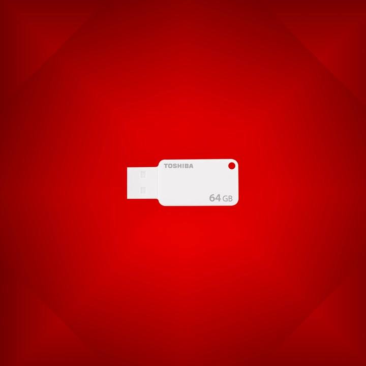 Don't lose your photos! With Toshiba's USBs, you can transfer photos and files easily, in a heartbeat. 