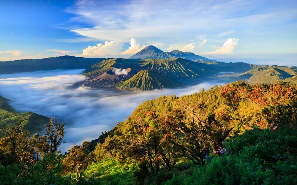 Bromo Tengger Semeru National Park is a volcanic region with mostly active volcanoes. See the smouldering volcanic cones for yourself. Store surreal moments like this with a Toshiba SD card.