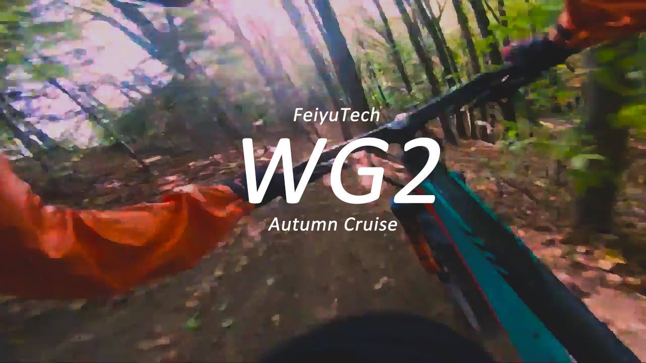 Don't wasting time, let's go! | Autumn Cruise🚴‍♂