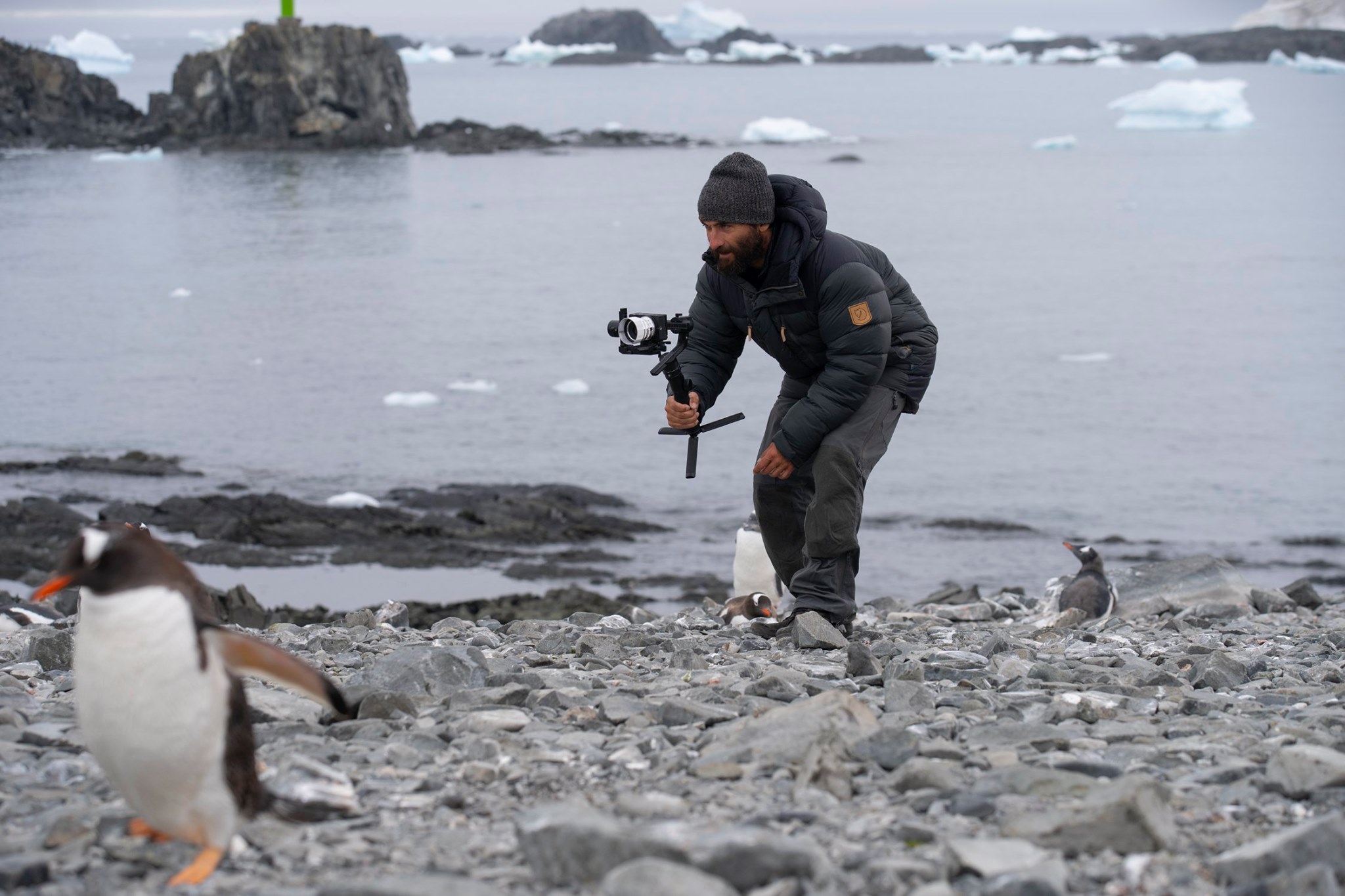 Cute penguin attack!!!