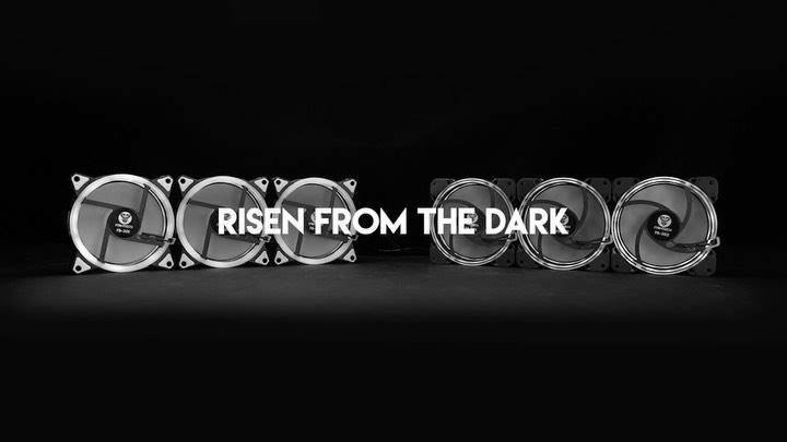 RISEN FROM THE DARK.