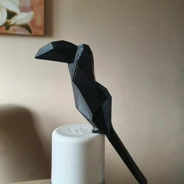 A small Toucan from our user.  Completed well👍 Repost Ins from @luka3dstudio