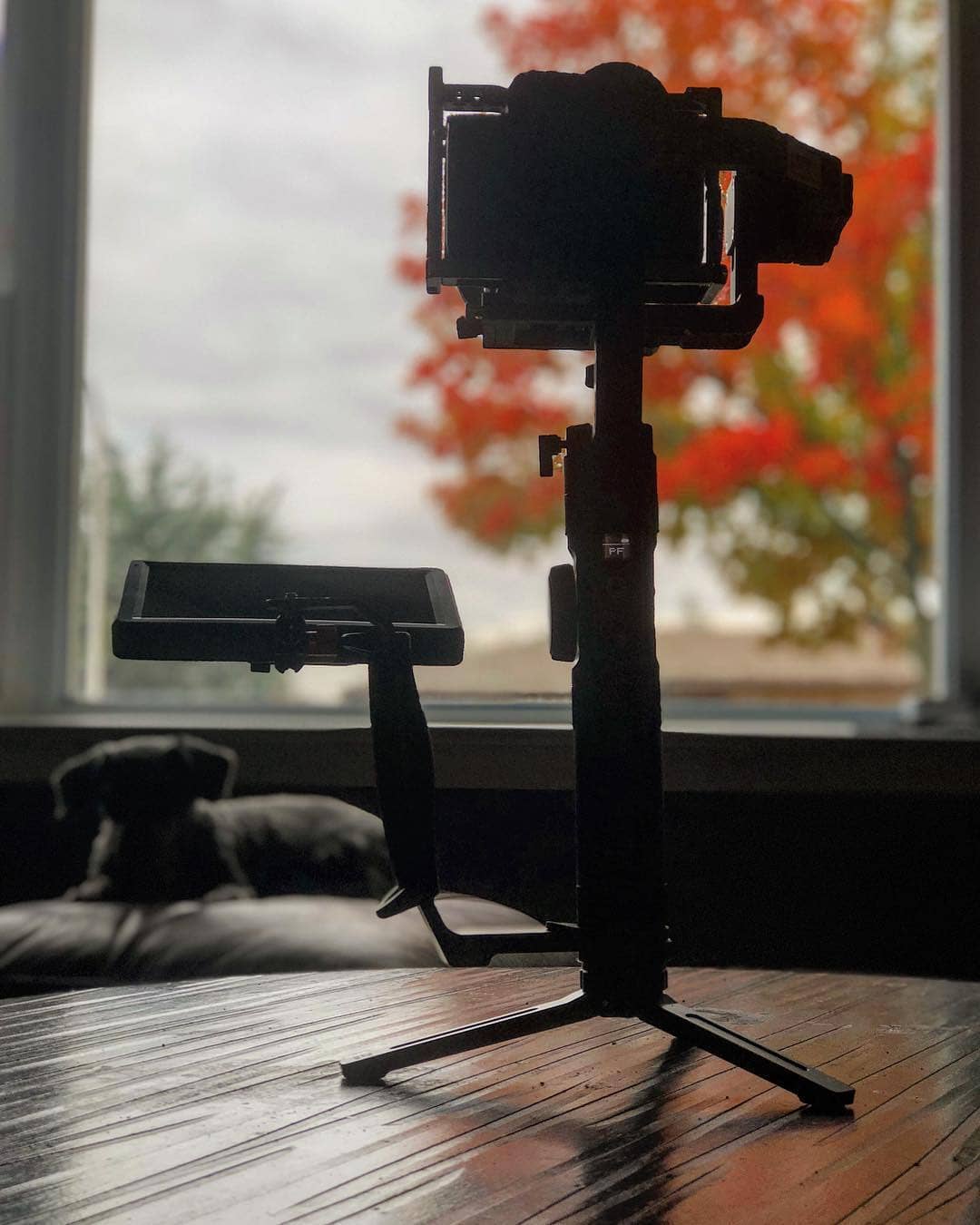 Always trying different set ups with my @zhiyun_tech Crane 2. @feelworld_monitor T756 7 inch has been INSTRUMENTAL in being able to see the high quality footage I’m actually capturing. I’ve noticed that I take way less shots and I don’t mess around with shots they don’t need to be taken when I can fully see what I have going on.  Invest in an external monitor and you will never regret it. 