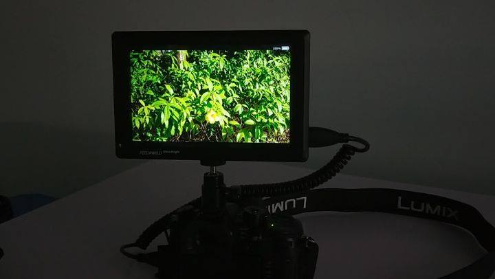 FEELWORLD FW279S 2200nit indoor using tips: when you use this ultra bright monitor in dark condition, it will too bright, just need lower the backlight, it will perform great in the dark condition use, so this 2200nit is really perfect both in sunlight and indoor🤗