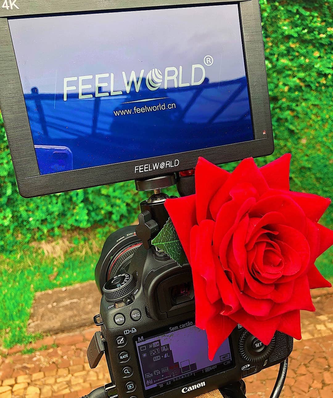 🎥🎬Recording🌹😘  @feelworld_monitor FH7 7 inch field monitor.