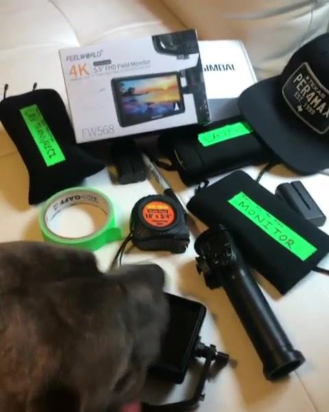 Does your dog help you shoot? Russell (dogs name) sure does!! He cleans my lenses and screens 😂 shout-out to.